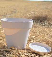 Renkli Saksı 1,7 LT 2 Adet Krem Renk Yalı Model Plastik Tabaklı Çiçek Saksısı