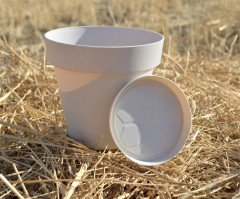 Renkli Saksı 1,7 LT 2 Adet Krem Renk Yalı Model Plastik Tabaklı Çiçek Saksısı