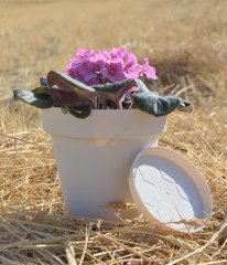 Renkli Saksı 1,7 LT 2 Adet Krem Renk Yalı Model Plastik Tabaklı Çiçek Saksısı