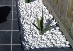 Beyaz Dolomit Taş 15 KG 2,5-4 Cm Dekoratif Bahçe Taşı