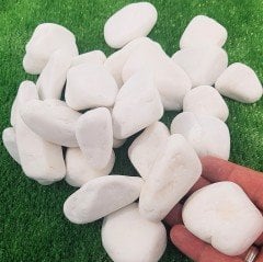 Beyaz Dolomit Taş 3 KG 2,5-4 Cm Dekoratif Bahçe Taşı