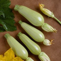 Beyaz Sakız Kabak Tohumu 1 Paket (10 GR 20 Adet) Sebze Tohumu