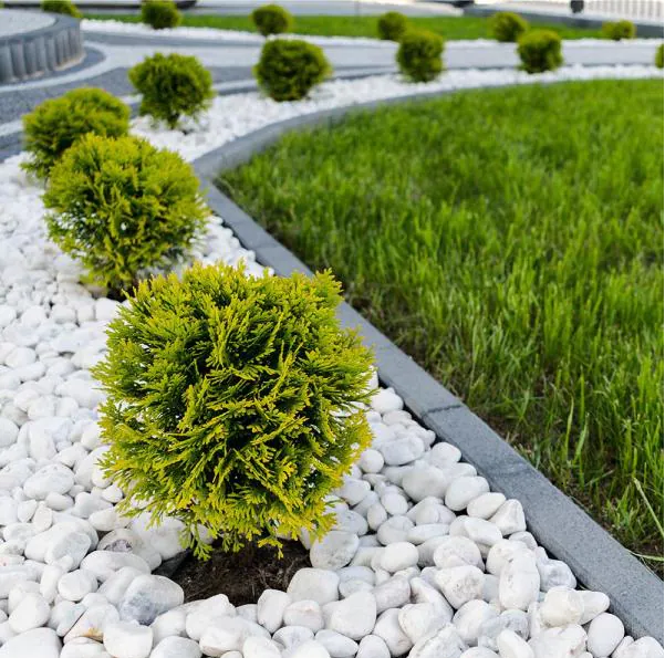 Beyaz Dolomit Taş 2 KG 4-6 Cm Dekoratif Bahçe Taşı