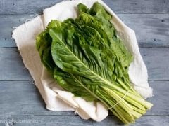 Pazı Tohumu 1 Paket 10 gr Sebze Tohumu Geniş Yapraklı Pazı