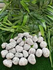 Granit Dolomit Taş 10 Kg ( 2-4 Cm ) Dolomit Taş Dekoratif Taş