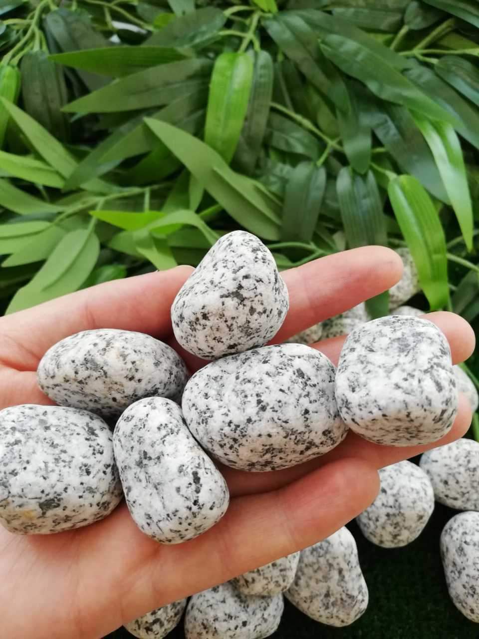 Granit Dolomit Taş 15 Kg ( 2-4 Cm ) Dolomit Taş Dekoratif Taş