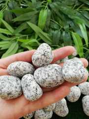 Granit Dolomit Taş 15 Kg ( 2-4 Cm ) Dolomit Taş Dekoratif Taş