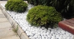 Beyaz Dolomit Taş 10 KG 4-6 Cm Dekoratif Bahçe Taşı