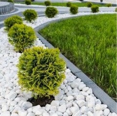 Beyaz Dolomit Taş 10 KG 4-6 Cm Dekoratif Bahçe Taşı