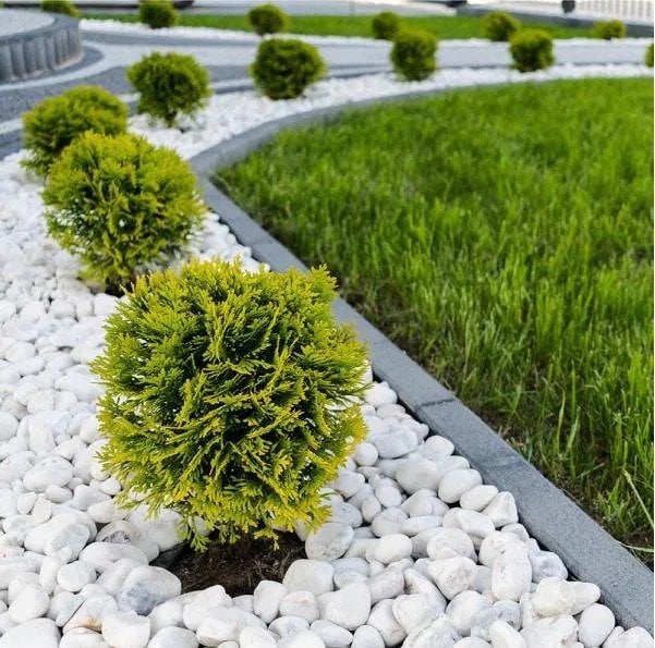 Beyaz Dolomit Taş 20 KG 4-6 Cm Dekoratif Bahçe Taşı