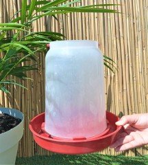 3 Adet 3 LT Suluk Tavuk Suluğu