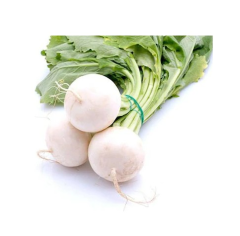 Beyaz Turp Tohumu 1 Paket 10 GR (3000 Adet) Sebze Tohumu