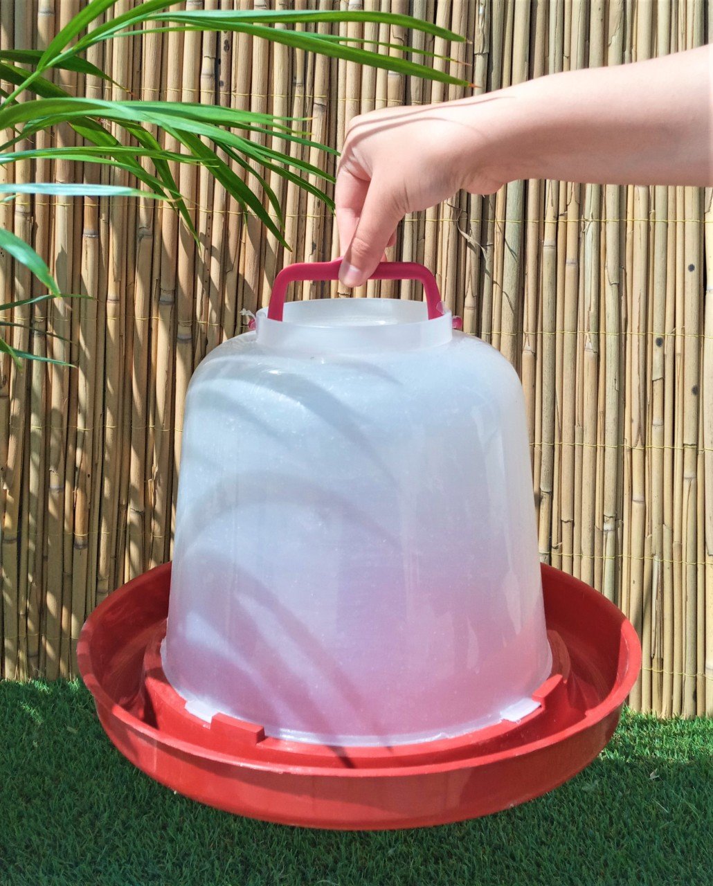 2 Adet 6 LT Suluk Tavuk Suluğu