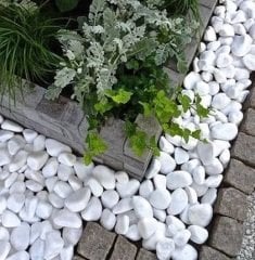 Beyaz Dolomit Taş 10 KG 6-10 Cm Dekoratif Bahçe Taşı