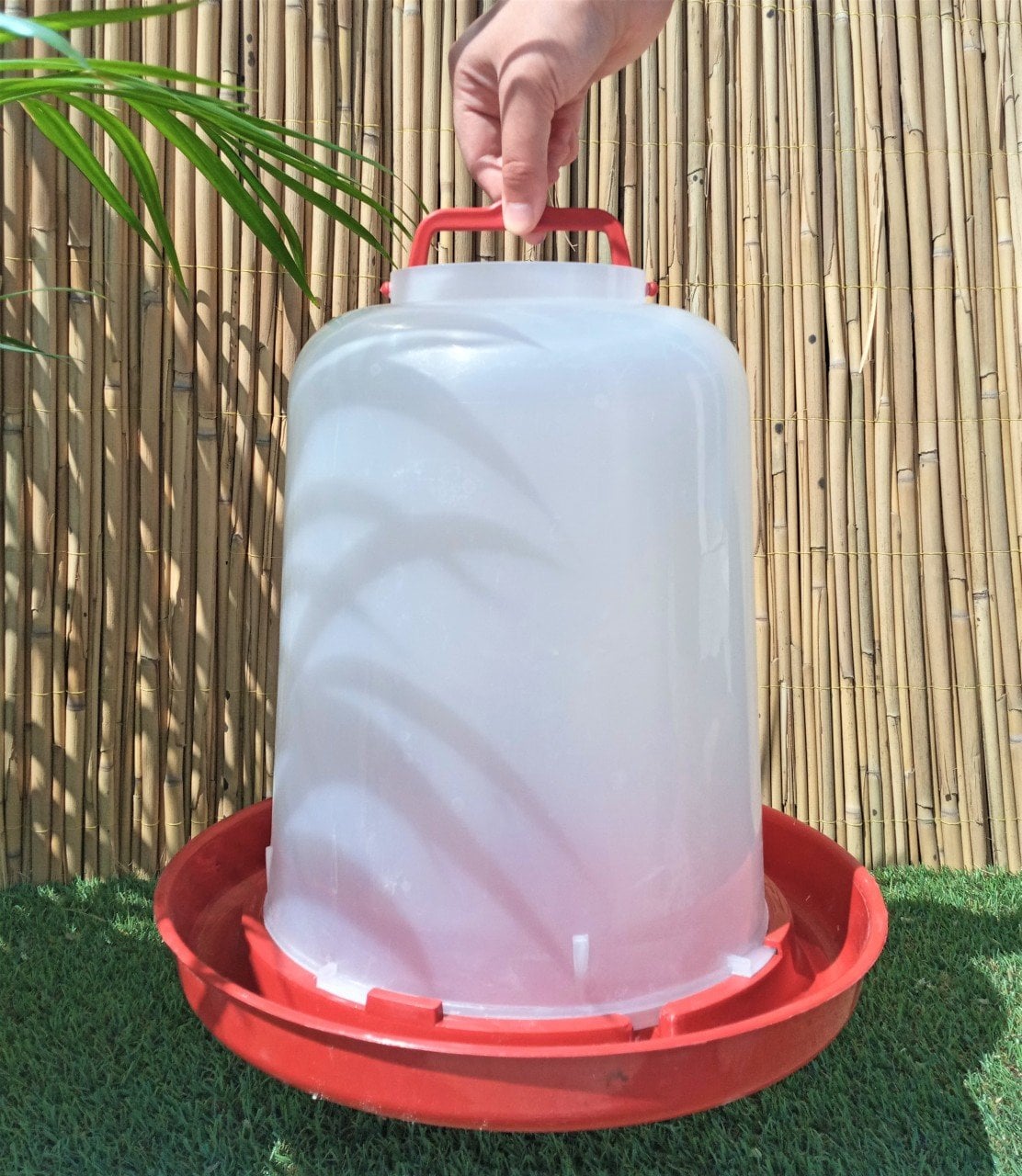 2 Adet 12 LT Suluk Tavuk Suluğu