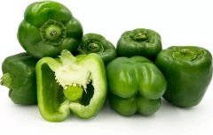 Dolma Kandil Biber Tohumu 1 Paket 10 GR (2.8000 Adet) Tohum Sebze Tohumu