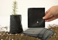 Fide Poşeti 9x11 cm 25 Adet Fide Torbası Fidan Poşeti