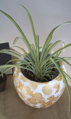 Çömlek Vazo 22x24 Cm Toprak Vazo Dekoratif Vazo