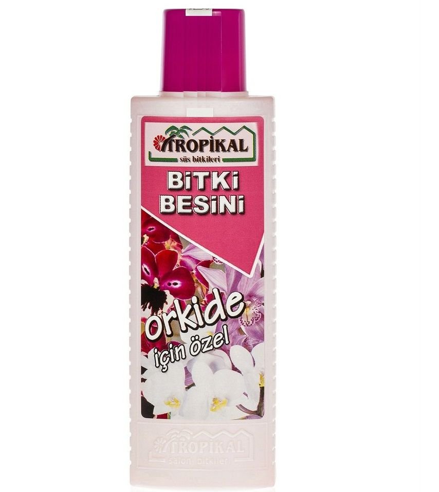 Bitki Besini 1 Adet Orkide Besini