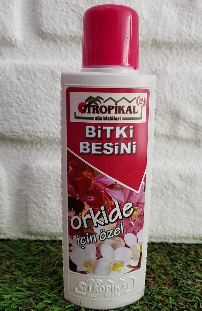 Bitki Besini 1 Adet Orkide Besini