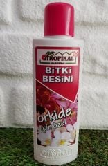 Bitki Besini 1 Adet Orkide Besini