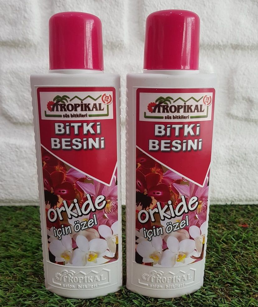 Bitki Besini 2 Adet Orkide Besini