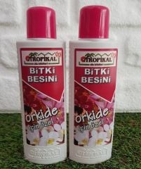 Bitki Besini 2 Adet Orkide Besini