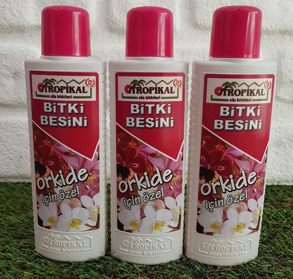 Bitki Besini 3 Adet Orkide Besini