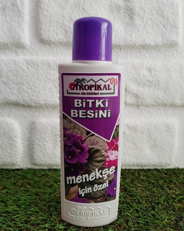 Bitki Besini 1 Adet Menekşe Besini