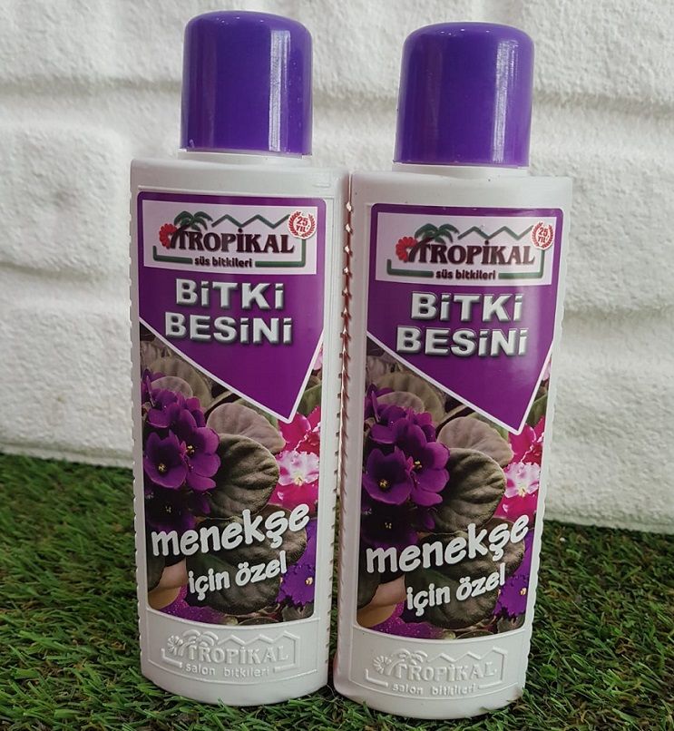 Bitki Besini 2 Adet Menekşe Besini