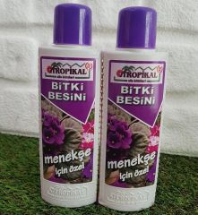 Bitki Besini 2 Adet Menekşe Besini
