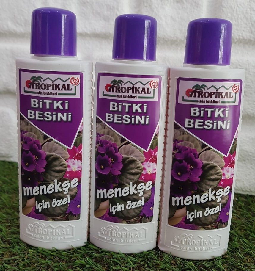 Bitki Besini 3 Adet Menekşe Besini