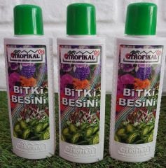 Bitki Besini 3 Adet Genel Bitki Besini