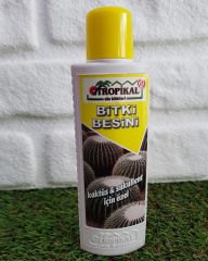 Bitki Besini 1 Adet Kaktüs Sukulent Bitki Besini