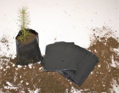 Fide Poşeti 9x11 CM 10 KG Fide Torbası Fidan Poşeti