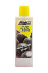 Bitki Besini 2 Adet Kaktüs Sukulent Bitki Besini