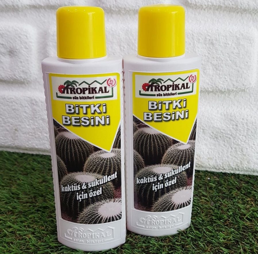 Bitki Besini 2 Adet Kaktüs Sukulent Bitki Besini