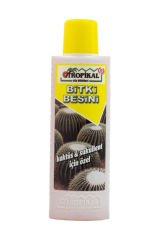 Bitki Besini 3 Adet Kaktüs Sukulent  Bitki Besini