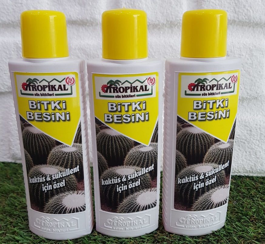 Bitki Besini 3 Adet Kaktüs Sukulent  Bitki Besini