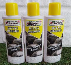 Bitki Besini 3 Adet Kaktüs Sukulent  Bitki Besini