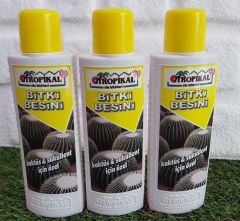 Bitki Besini 3 Adet Kaktüs Sukulent  Bitki Besini