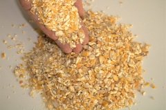 Kırık Mısır 3 KG Tavuk Kaz Ördek Yemi Kırması Kanatlı Yemi Yemlik Mısır